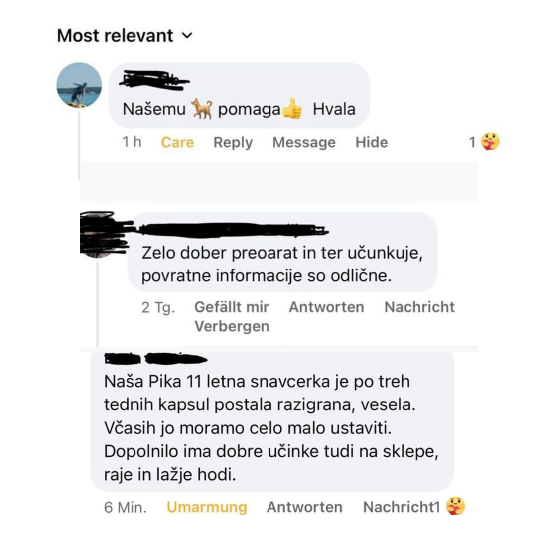 Screenshot of social media comments in Slovenian language.