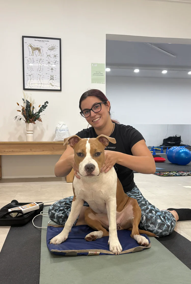 Person sitting with a brown and white dog on a mat indoors.