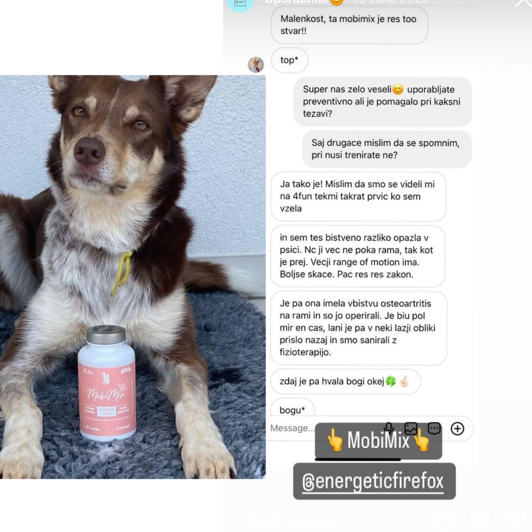 Dog lying down with a supplement bottle, next to a text conversation.