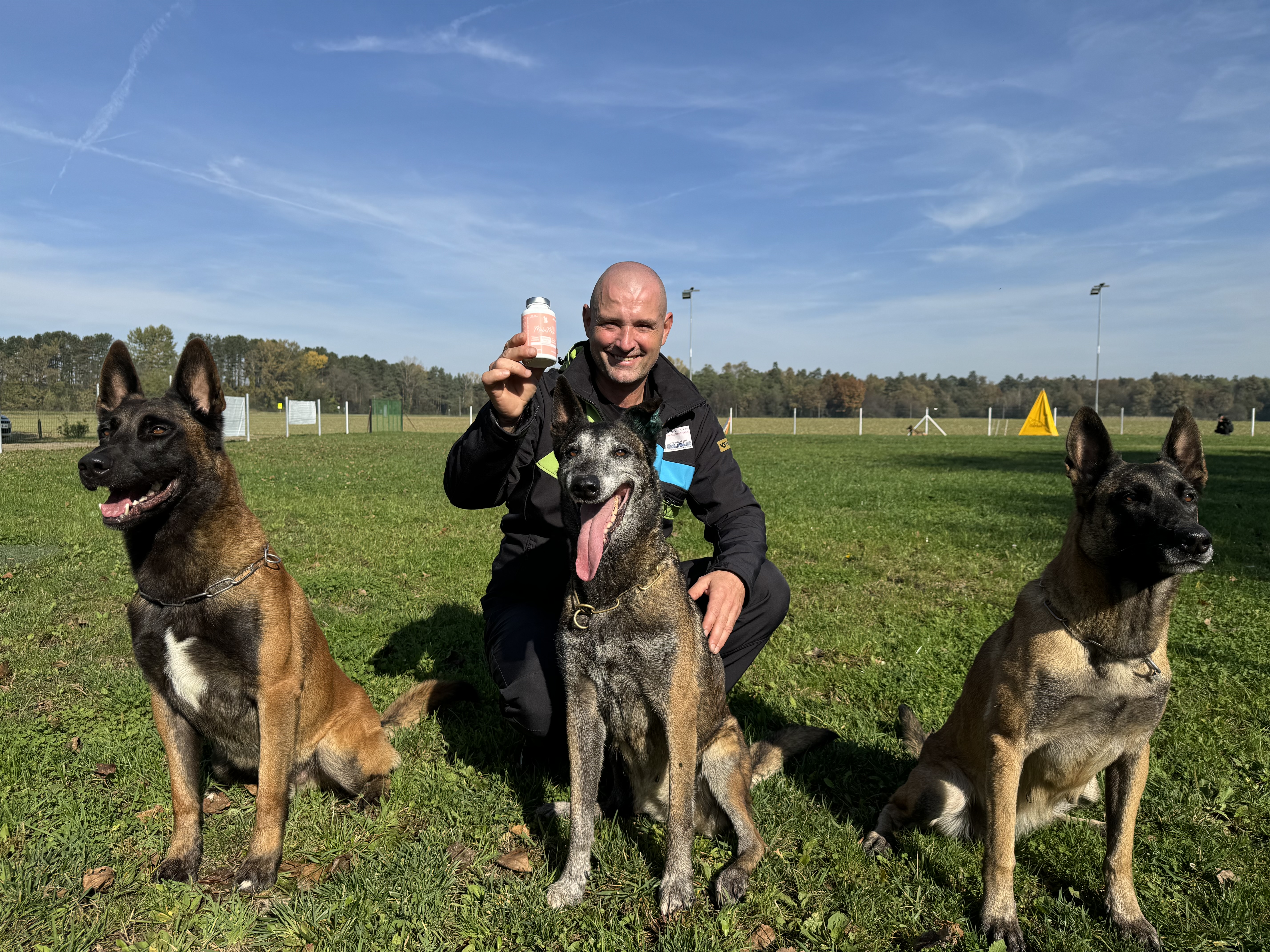 Person with three dogs on grass, holding a bottle, under a clear blue sky.