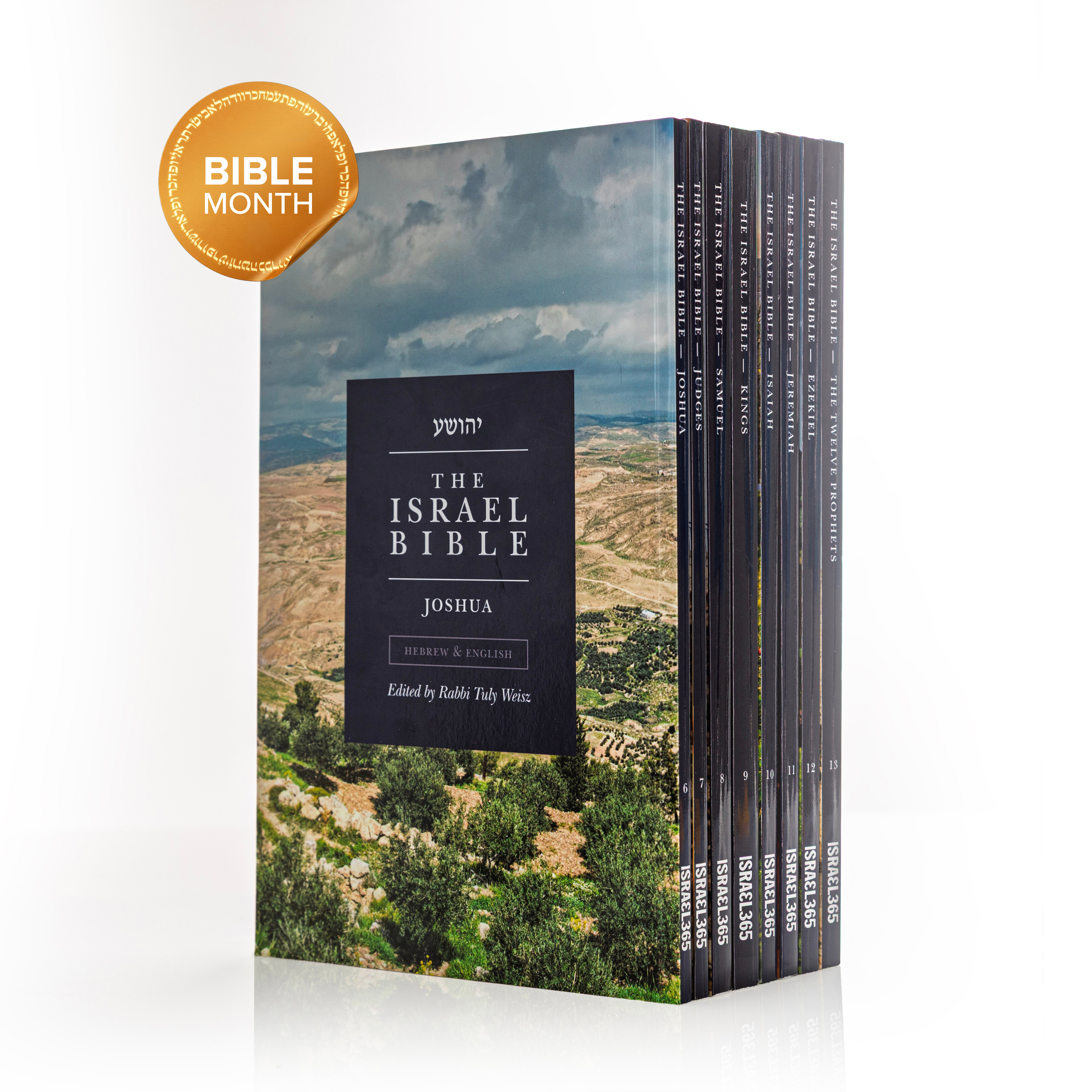 A set of books titled 'The Israel Bible', with the 'Joshua' volume in front, on a white surface.