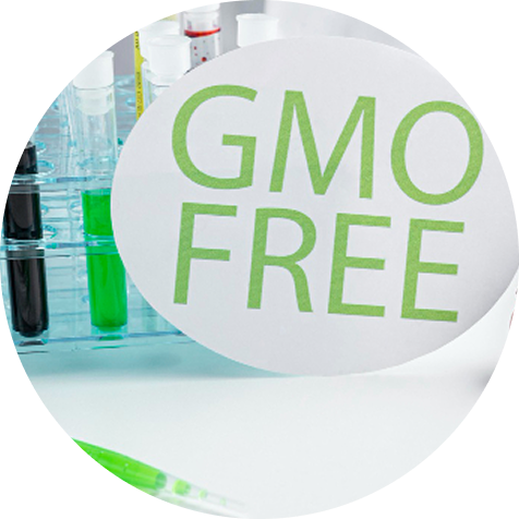 Test tubes with ‘GMO Free’ label in foreground.