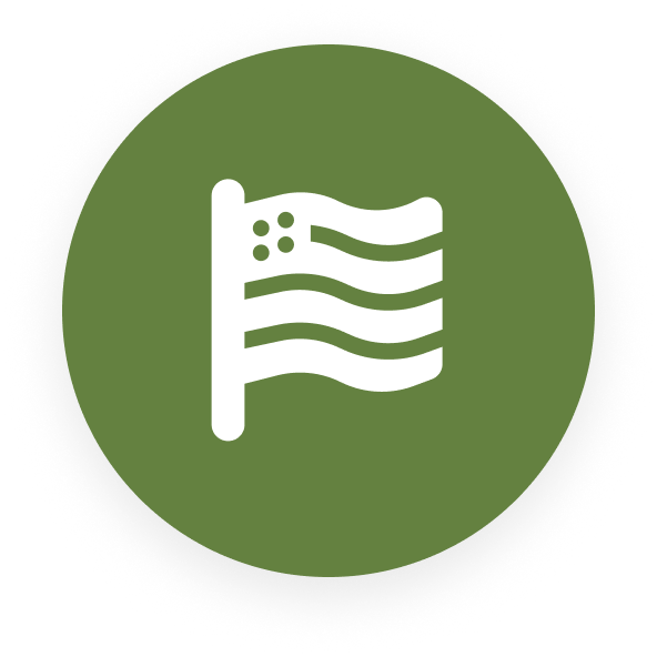Icon of a stylized flag in a green circle.