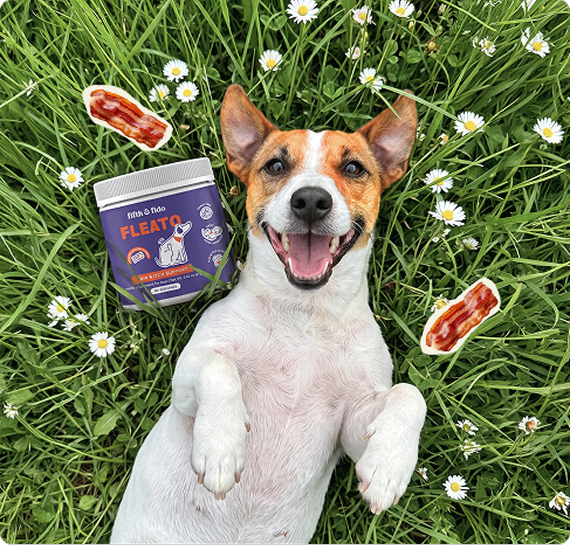 A happy dog lies on its back in the grass with a container of Fleato and bacon strips.