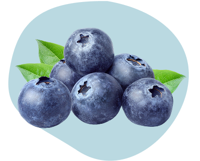 Cluster of fresh blueberries with green leaves on a light blue background.