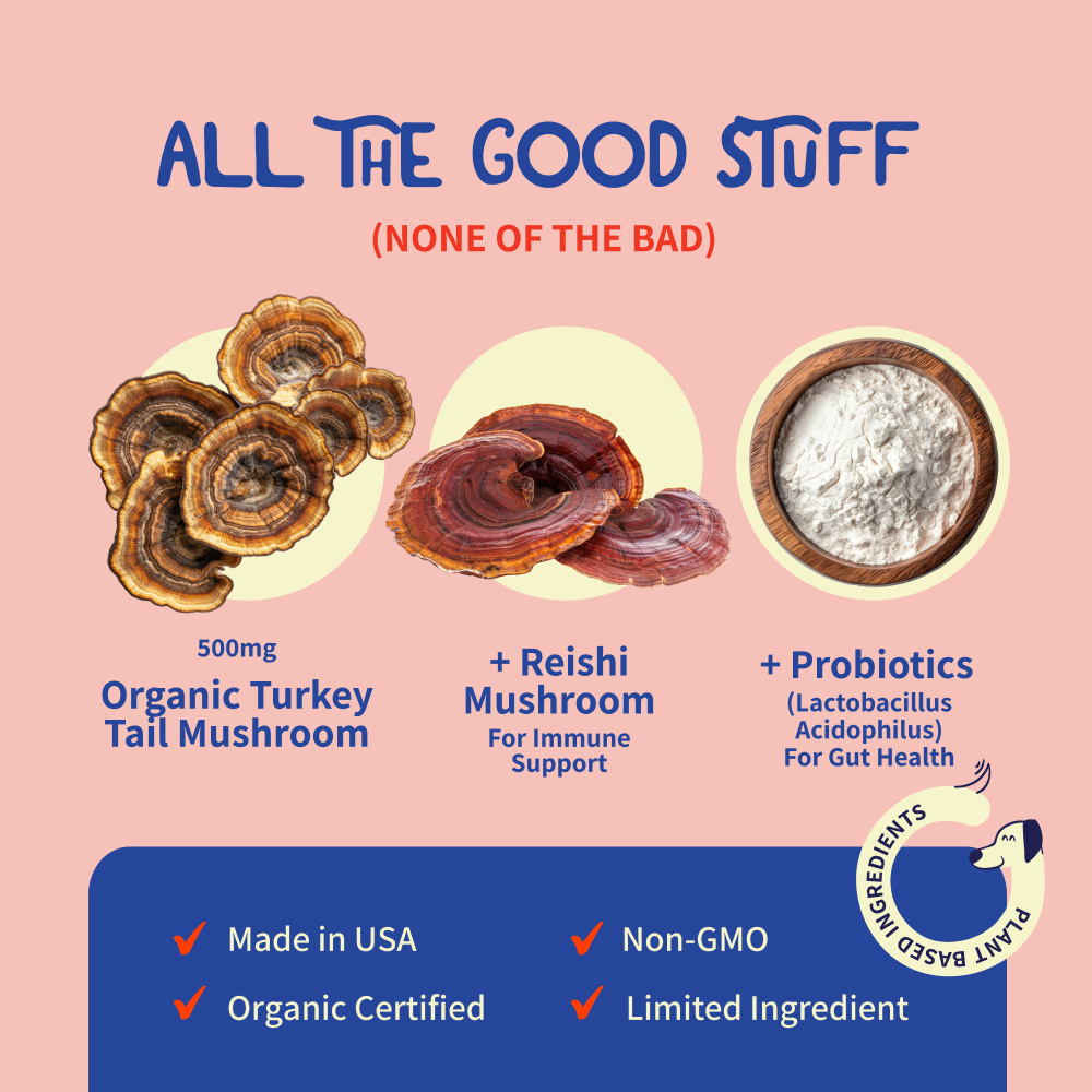 Dog supplements labeled 'Turkey Tail+' with a bowl of coated dog food.