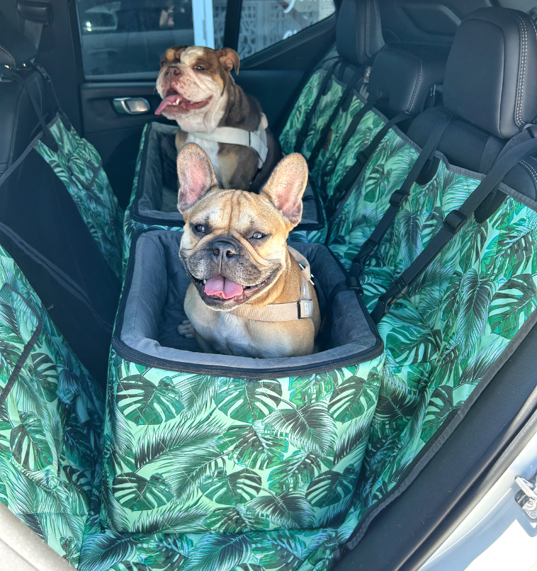 Two dogs sitting in car seats with tropical leaf patterns.