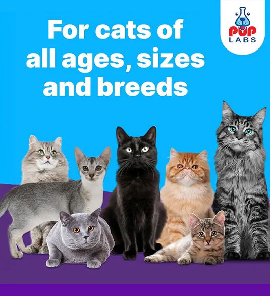 Seven cats of various breeds and colors with text about cats.
