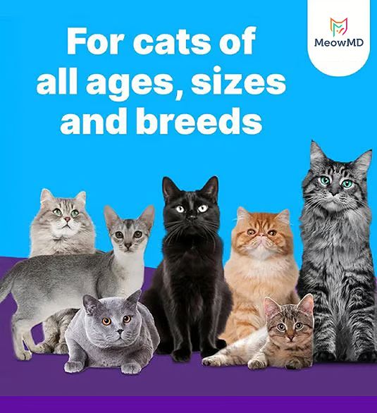 Seven cats of various breeds and colors with text promoting inclusivity.