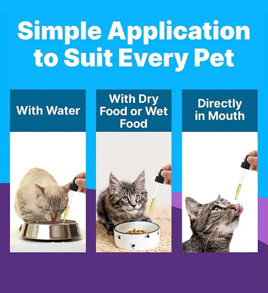 Three cats receiving liquid from a dropper in different ways.