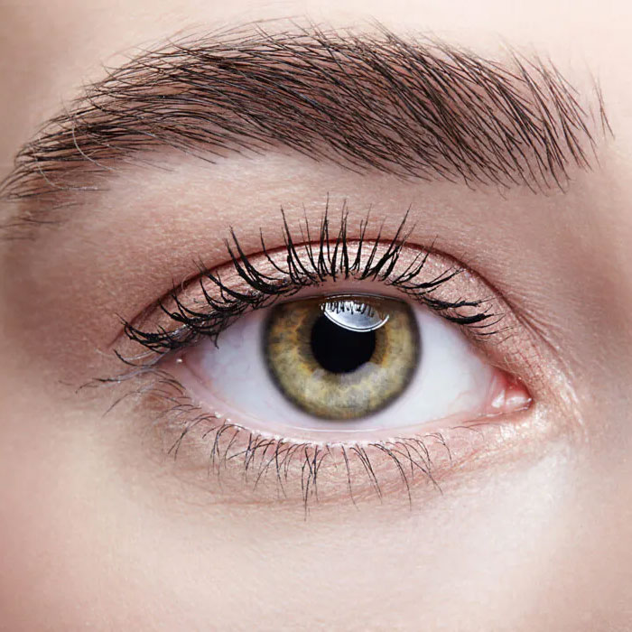 A close-up of a person's hazel eye with a thick eyebrow and mascara.