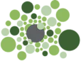 An abstract cluster of circles in various sizes and shades of green and grey.