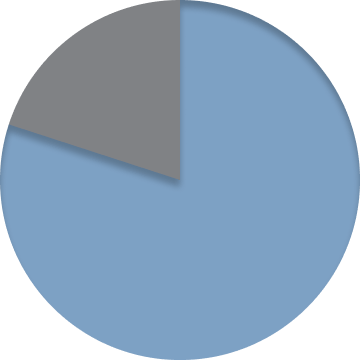 Blue circle with a gray slice segment