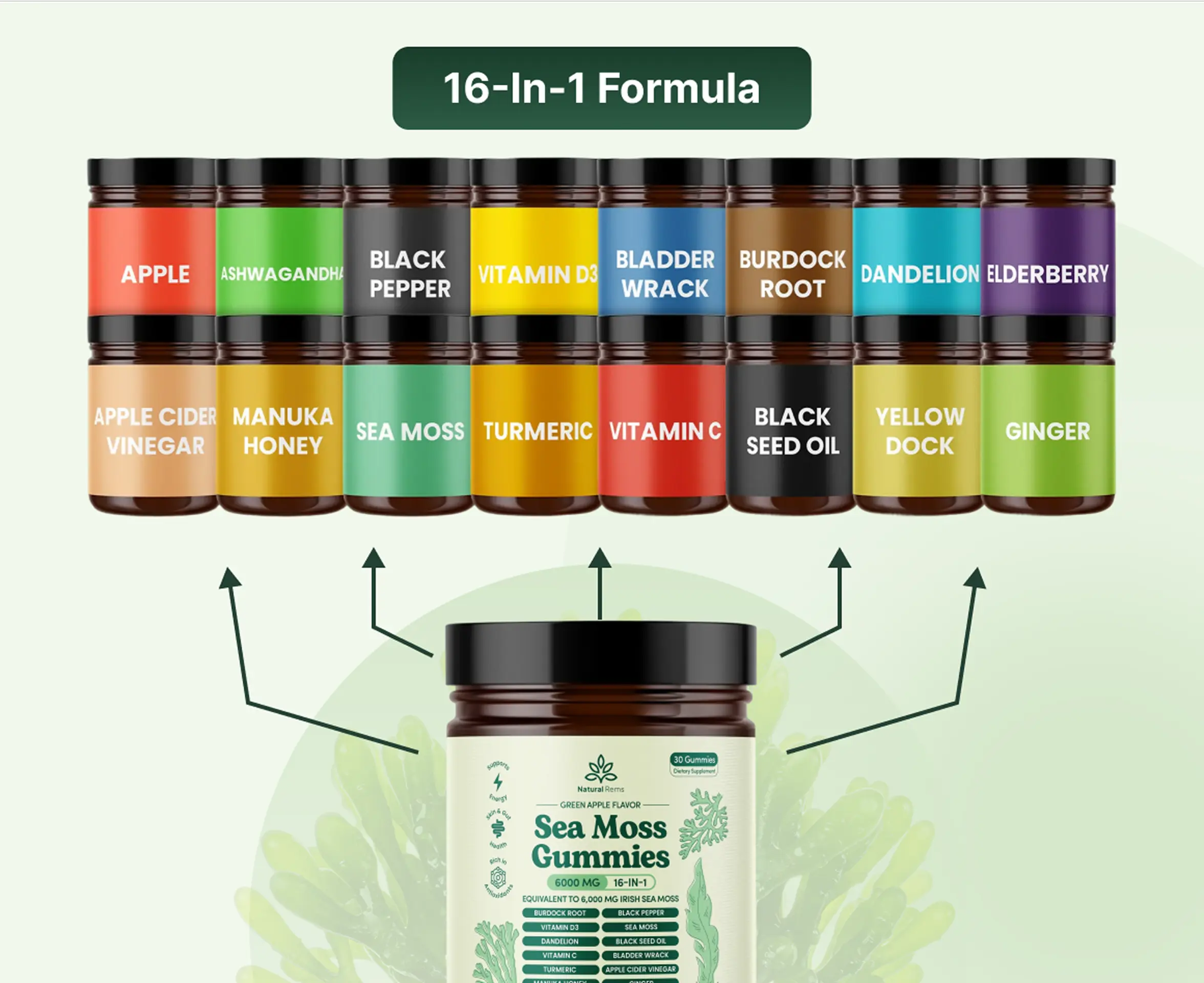 Image of various supplement jars labeled with different ingredients above a Sea Moss Gummies jar.