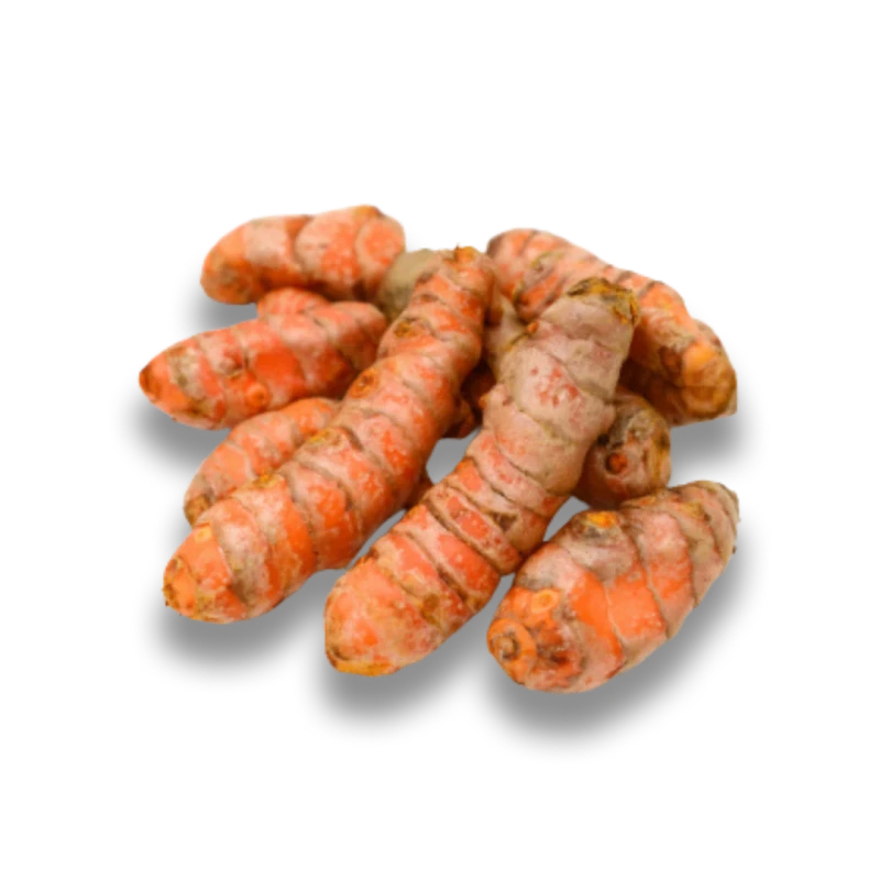 A small pile of whole, fresh turmeric root on a solid green background.