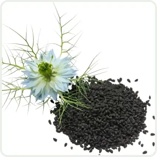 A white flower with green leaves next to a pile of small black seeds.