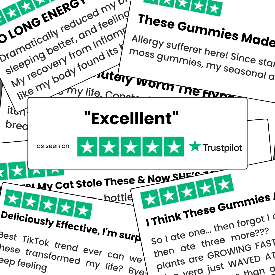 Collage of Trustpilot reviews with green star ratings and text excerpts.