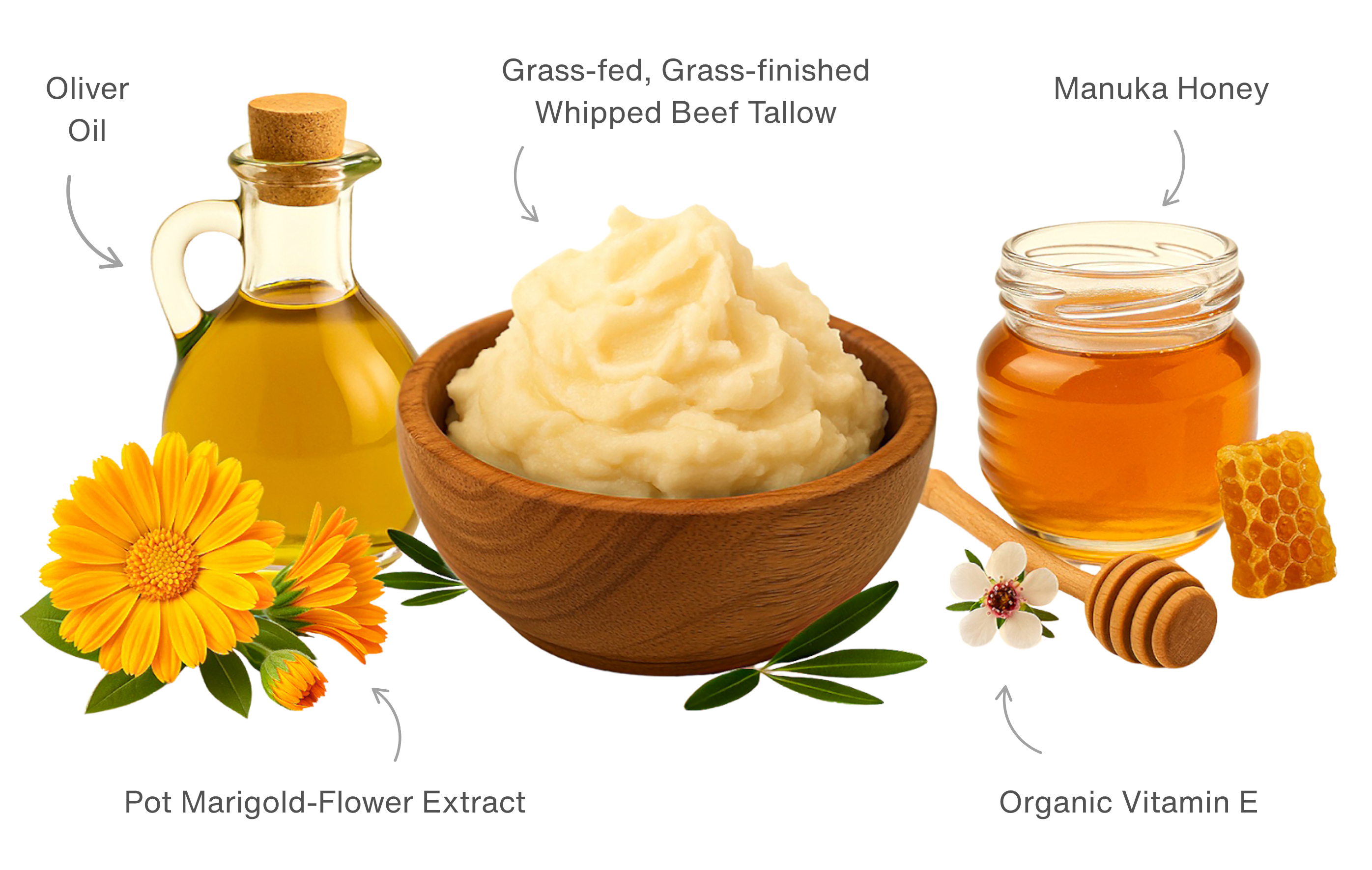 Olive oil, whipped beef tallow, marigold flowers, honey, and vitamin E with labels.