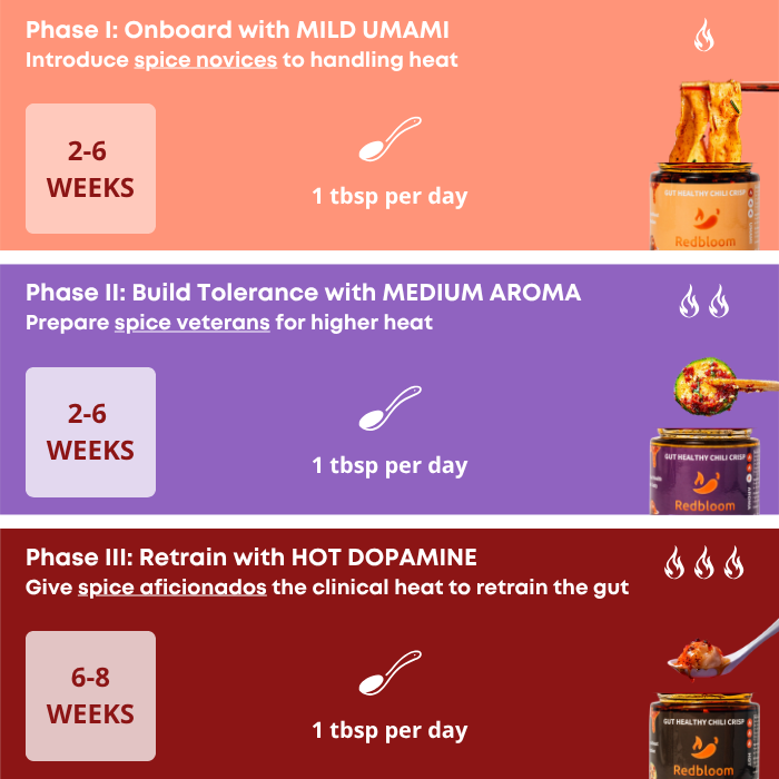 A graphic outlining a three-phase tolerance building program for spicy food, featuring text and images of chili crisp