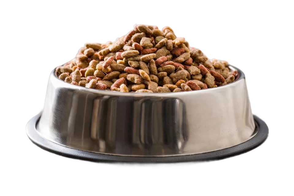 A metal bowl filled with dry pet food kibble.