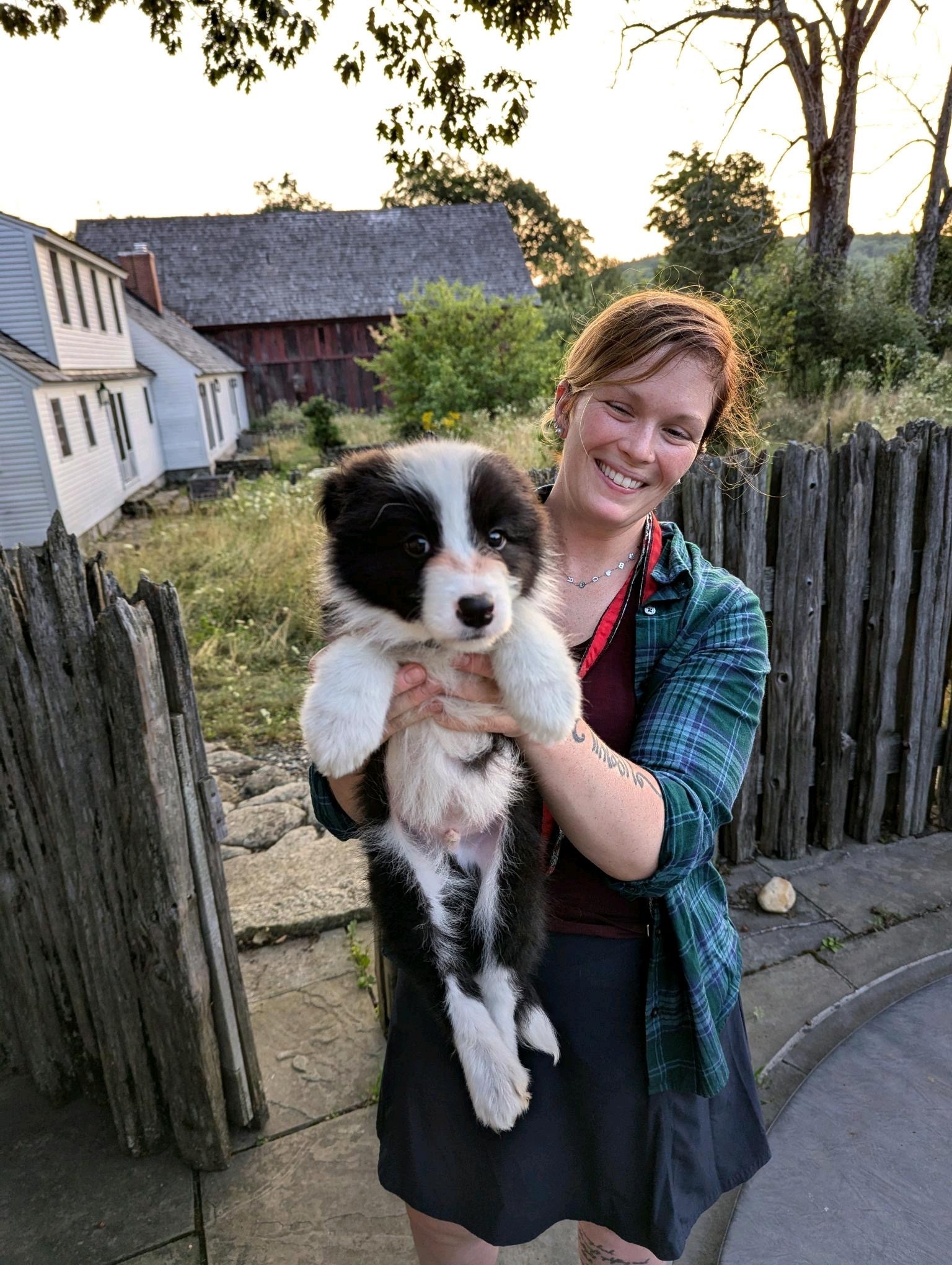 Person holding a black and white puppy in a rustic outdoor setting.