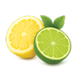 A sliced yellow lemon next to a sliced green lime with two small leaves.