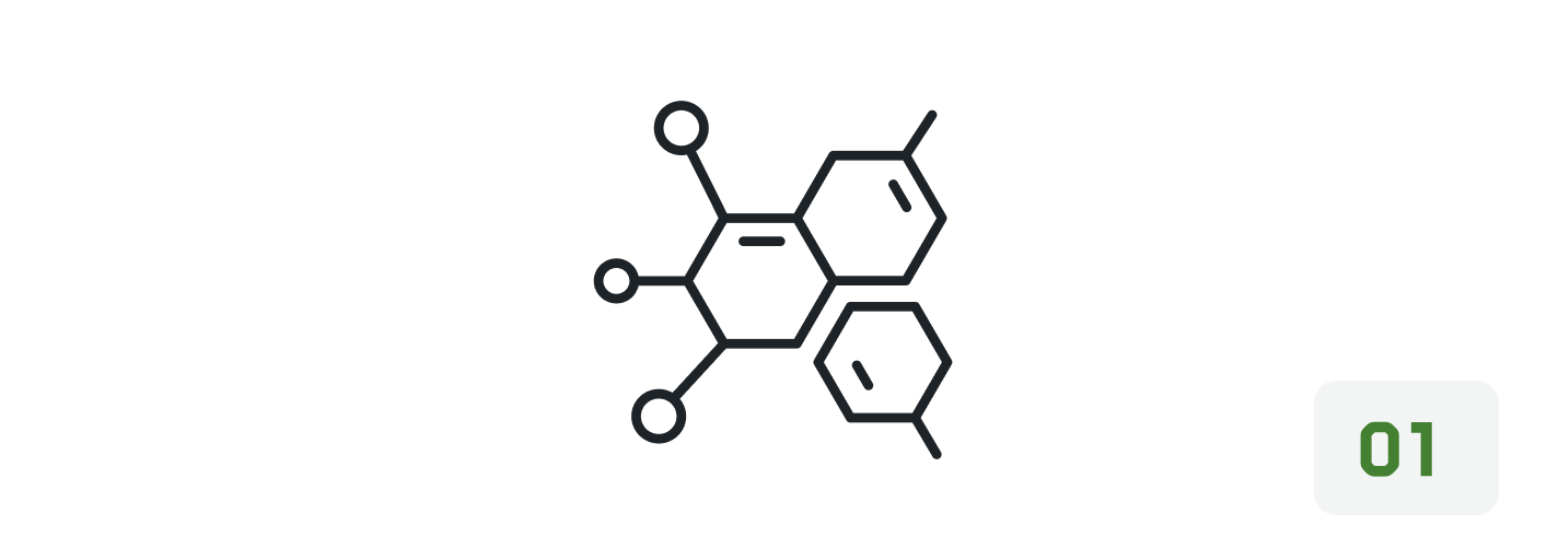 A line drawing of a chemical molecule next to the number 01 in a gray box.
