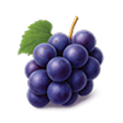 A digital illustration of a bunch of dark purple grapes with a single green leaf.