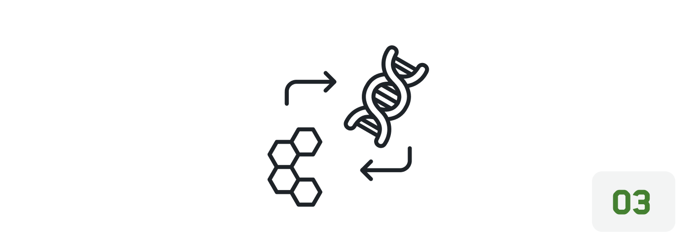 Icon of a chemical structure and a DNA helix with arrows indicating a cycle, numbered 03.
