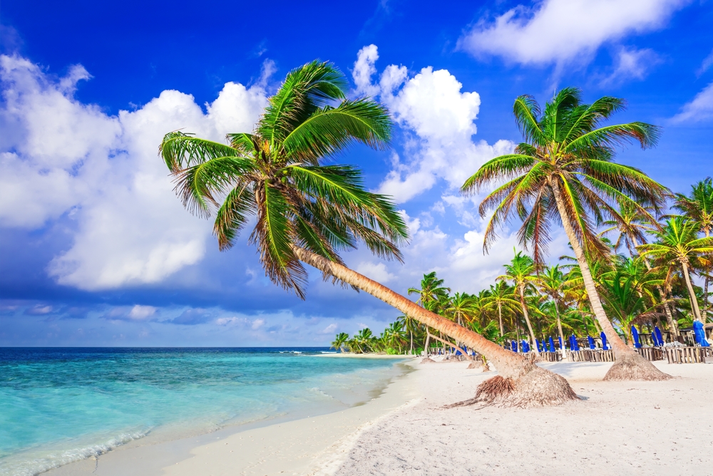 Leaning palm trees on a white sand beach with turquoise water under a partly cloudy blue sky.