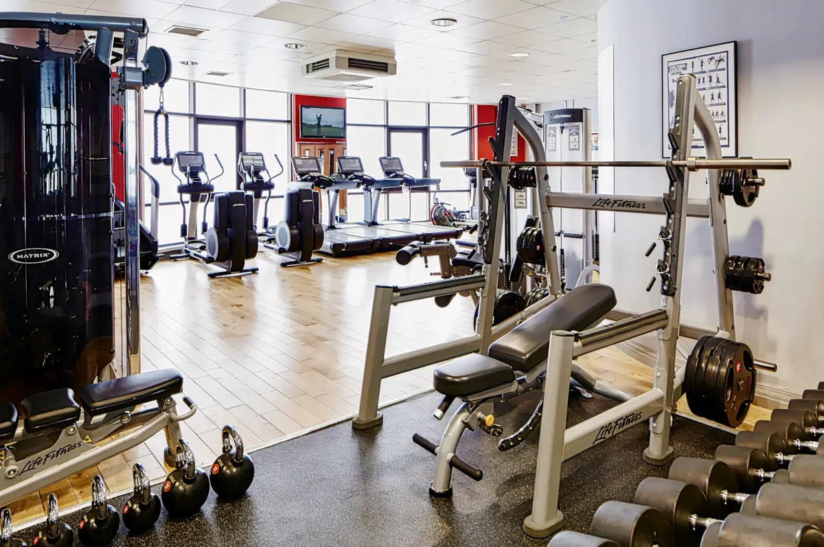 A well-equipped gym with cardio machines, weight benches, and free weights by a large window.
