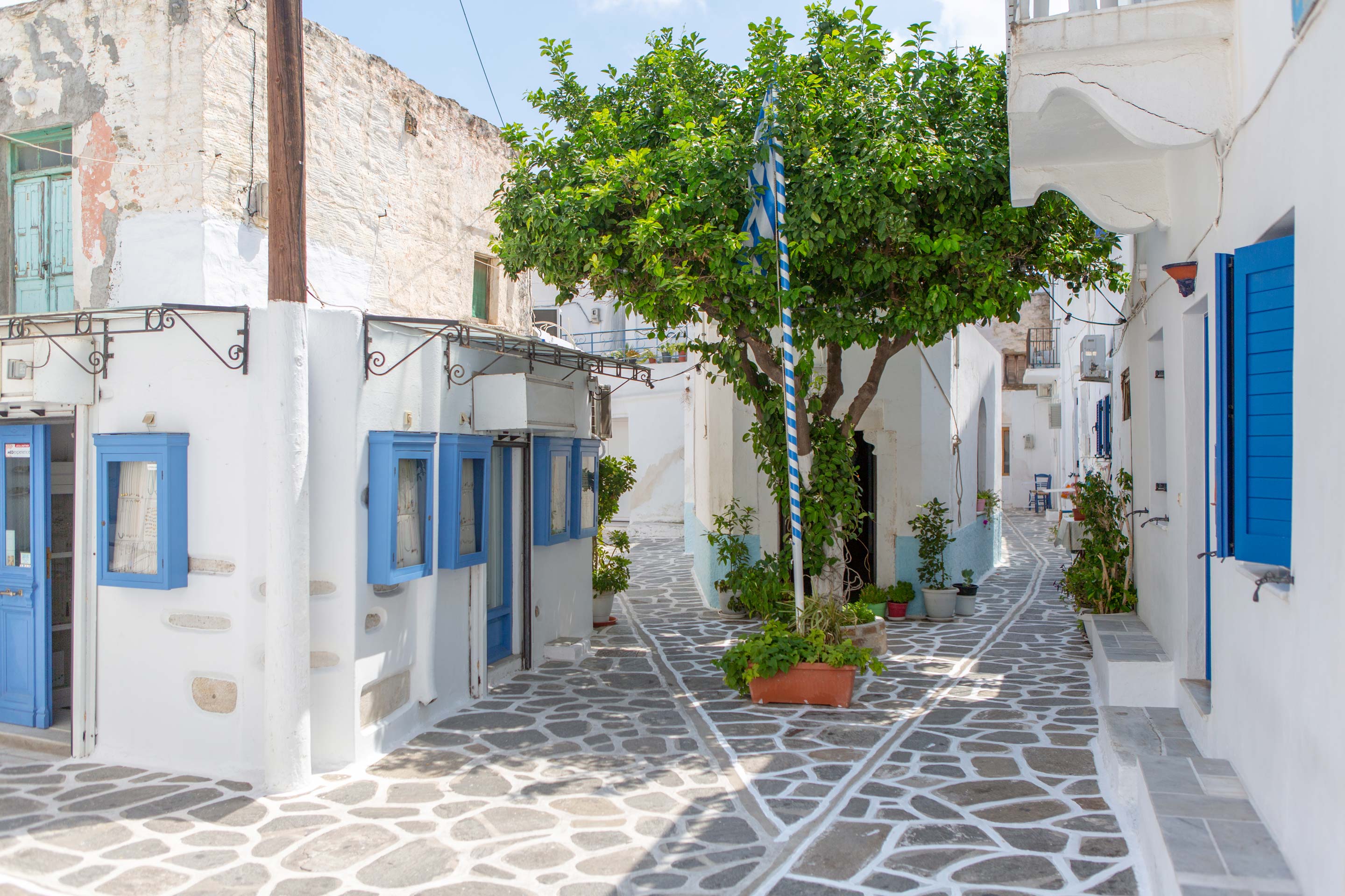 A narrow cobblestone street in a Greek village with whitewashed buildings, blue shutters, and a leafy tree.