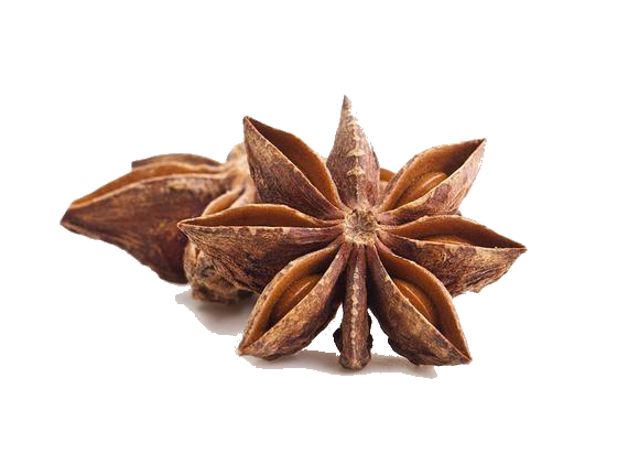 Two whole star anise pods on a plain white background.