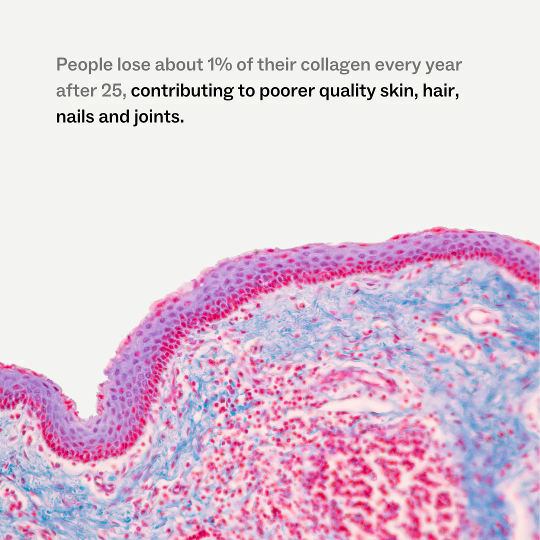 Microscopic image of layered tissue structure in pink and blue hues.