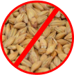 Barley grains with a red prohibition sign over them.