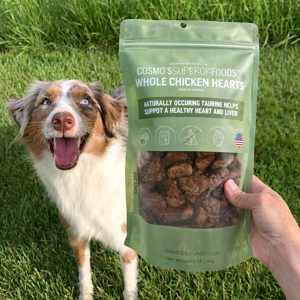 A happy Australian Shepherd dog looks up at a hand holding a bag of chicken heart treats.