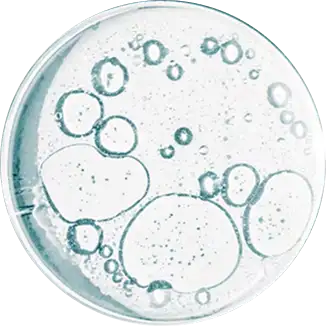 A clear liquid with various sized bubbles in a round petri dish, viewed from above.