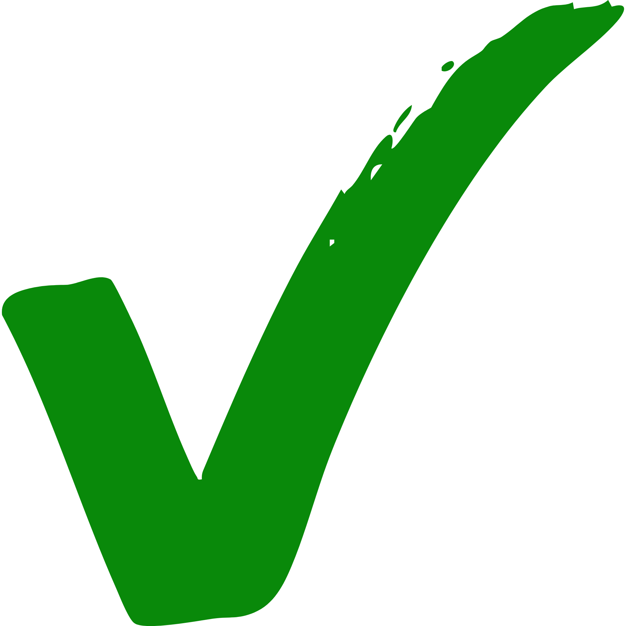 A green check mark icon with a hand-drawn, brush stroke style on a white background.