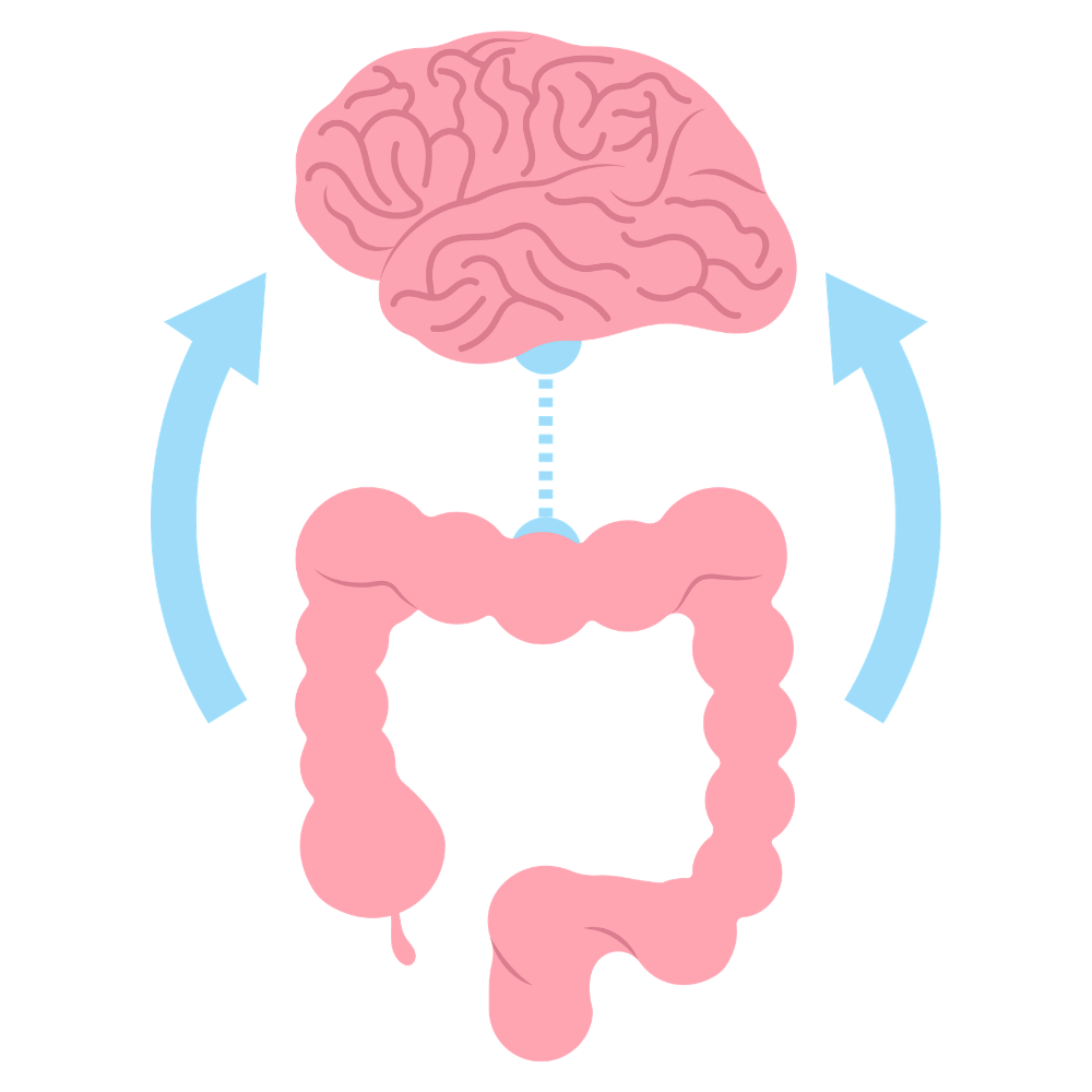 An illustration showing the connection between the brain and the large intestine with arrows indicating communication.