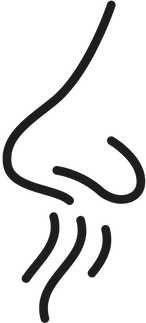 Simple black line drawing of a nose with wavy lines below.
