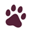 Simple maroon paw print icon on a white background.