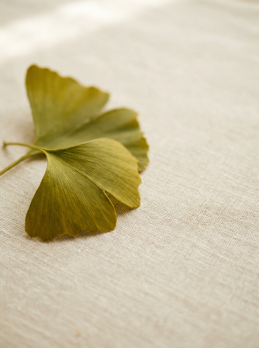 A close-up of two green ginkgo leaves resting on a piece of light-colored, textured fabric.