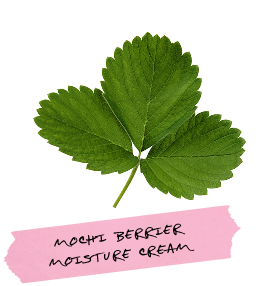 A green leaf above a piece of pink tape with handwritten text that reads 'Mochi Berrier Moisture Cream'.