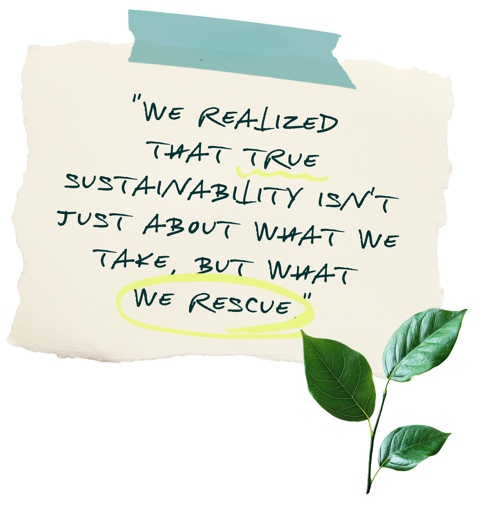We realized that true sustainability isn't just about what we take, but what we rescue