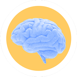 Blue brain illustration on a yellow circular background.