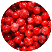 Cluster of frosty red berries filling a circular frame.