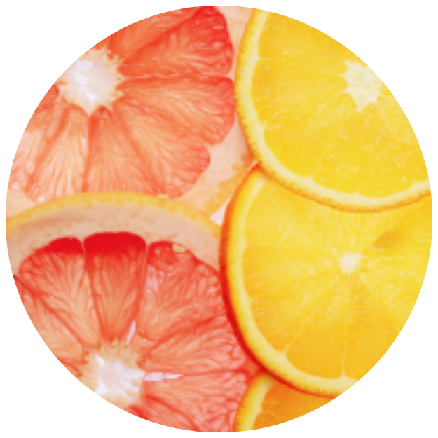 Sliced oranges and grapefruits arranged in a circular pattern.