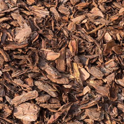 Close-up of brown wood chips or bark mulch.