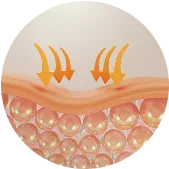 Illustration of skin layers with arrows indicating absorption.
