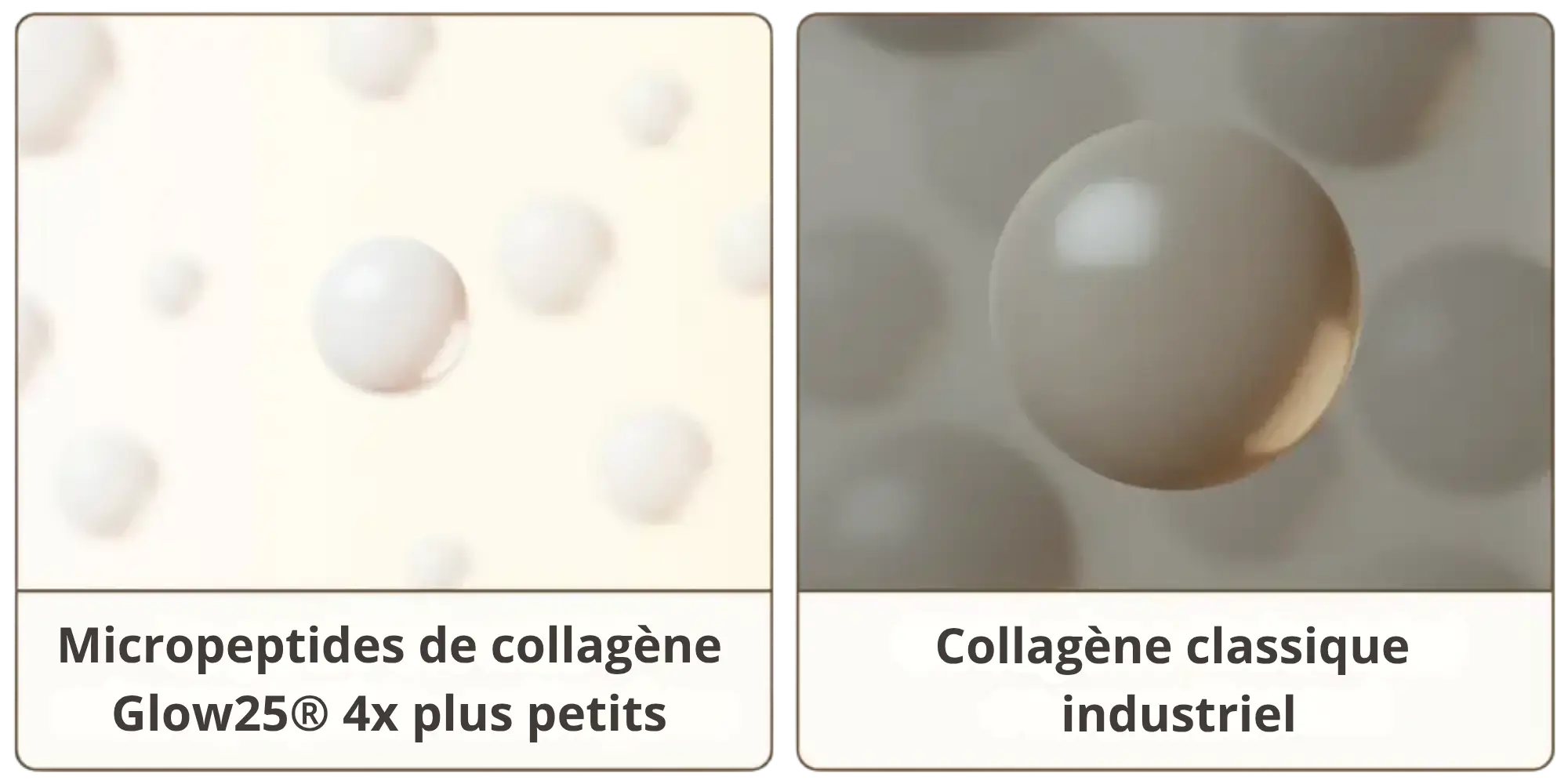 Illustration comparing Glow25 micropeptide-collagen and conventional industrial collagen molecules.